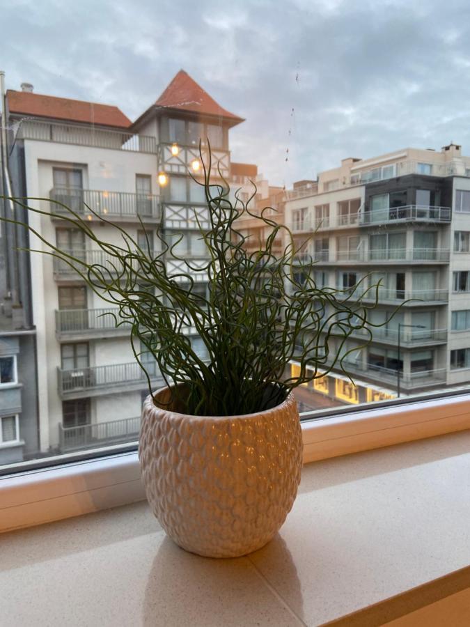 Studio Delfien Oostduinkerke Eksteriør bilde
